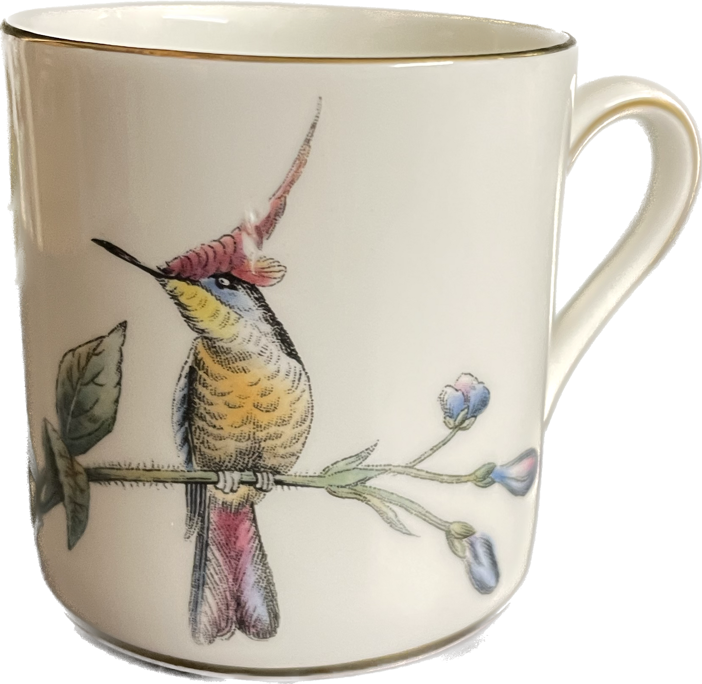 Mokkatasse inkl Untertasse - Wedgwood Humming Birds