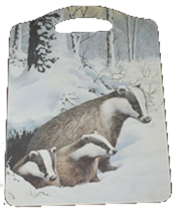 SCHNEIDBRETT *BADGERS