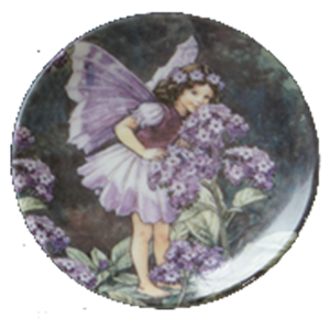 MINI-TELLER "HELIOTROPE FAIRY"