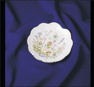 SCHALE "FAN"      15cm W.TUDOR