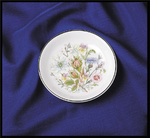 SCHÄLCHEN RUND  11,0cm W.TUDOR