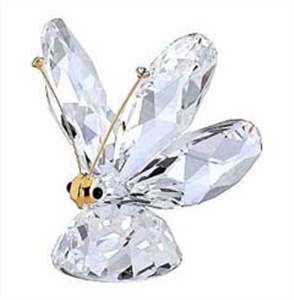 SCHMETTERLING GROSS