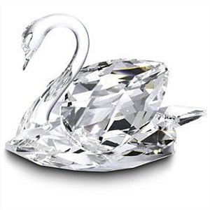SCHWAN MITTEL