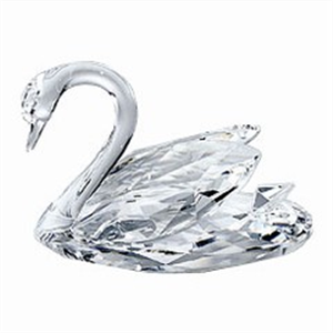 SCHWAN KLEIN