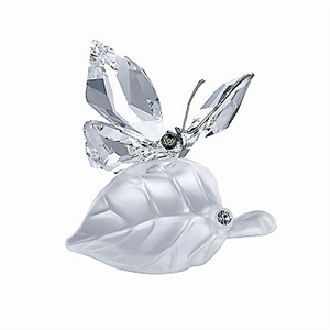 SCHMETTERLING AUF BLATT