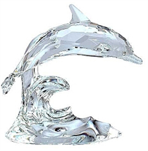 DOLPHIN*