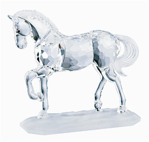 ARAB STALLION