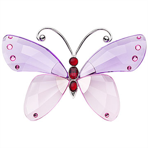 ACARA, VIOLET