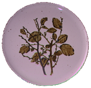 TORTENPLATTE 30cm    GR.LEAVES