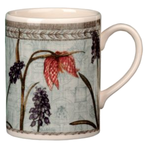 KAFFEEHÄFERL         MANORWOOD