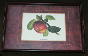 TABLETT M.HOLZRAND    POMOLOGY