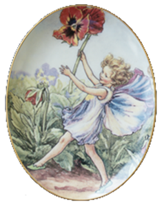 WANDTELLER      *"PANSY FAIRY"