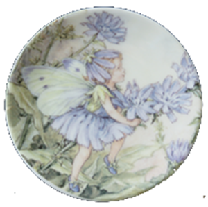 MINI-TELLER    "CHICORY FAIRY"