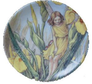 MINI-TELLER      *"IRIS FAIRY"