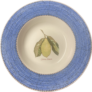 Suppenteller 23cm blau - Wedgwood Sarah's Garden
