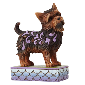 Izzie (Yorkshire Terrier) N